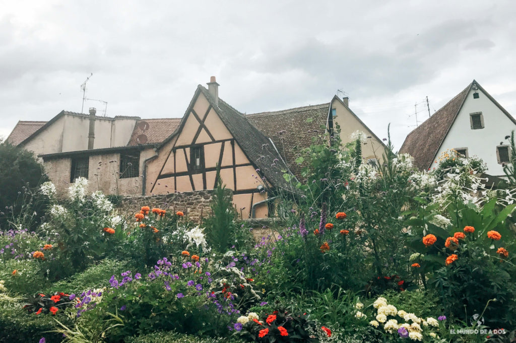 Flores de Eguisheim. Eguisheim Francia