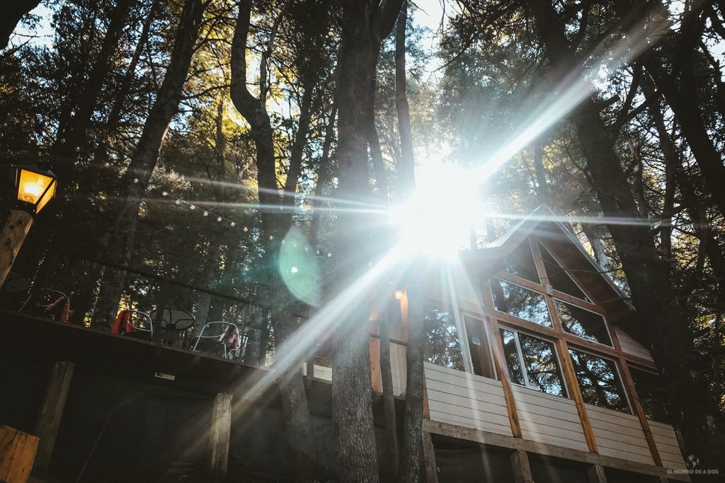 La casa de té No me olvides