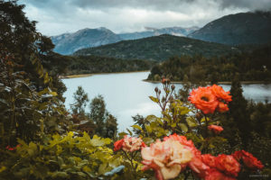 El jardín de Bellevue - Mejores casas de té en Bariloche